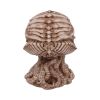 Cthulhu Skull (JR) 20cm Horror NEMESIS NOW | EASTER SALE