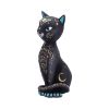 Fortune Kitty 27cm Cats Halloween RRP Above 20