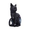 Nine Lives 22cm Cats Gifts Under £100