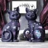 Nine Lives 22cm Cats Gifts Under £100