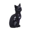 Bad to the Bone 22cm Cats NEMESIS NOW | EASTER SALE