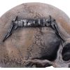 Metallica Pushead Skull 23.5cm Band Licenses Licensed Rock Bands