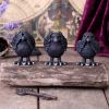 Three Wise Ravens 8.7cm Ravens Top 200 None Licensed