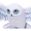 Harry Potter Hedwig Wall Plaque 45cm Owls Gifts Under £100