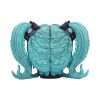 Drop Dead Gorgeous - Cute and Cosmic 19.5cm Skulls Top 200 None Licensed