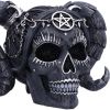 Drop Dead Gorgeous - Solve and Coagula 20.5cm Skulls Halloween RRP Above 20