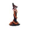 Cinnamon 23.5cm Witches NEMESIS NOW | EASTER SALE