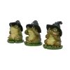 Three Wise Toads 10.3cm Animals NEMESIS NOW | EASTER SALE