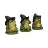 Three Wise Toads 10.3cm Animals NEMESIS NOW | EASTER SALE