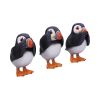 Three Wise Puffins 9cm Animals Gifts Under £100