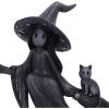 Little Souls - Beam 12.7cm Witches Top 200 None Licensed