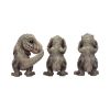 Three Wise Tyrannosaurus Rex 9.3cm Dinosaurs Top 200 None Licensed