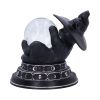 Purrah's Fortune 12.2cm Cats Top 200 None Licensed