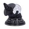 Purrah's Fortune 12.2cm Cats Top 200 None Licensed