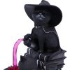 Cult Cuties Curious Cauldron 18.5cm Cats Top 200 None Licensed