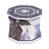 Cult Cuties Malpuss Foldable Lamp 21cm Cats Top 200 None Licensed