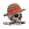 One Piece Luffy Jolly Roger Box 19.5cm Anime Top 200