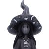 Little Souls - Dazzle 12.5cm Witches Top 200 None Licensed