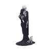 Eternal Companion 24cm Skeletons Top 200