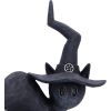 Hex 15.2cm Cats Spell Cats