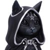 Zefur (Large) 23.2cm Cats Top 200 None Licensed