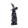 Little Souls - Shine 13.5cm Witches Top 200 None Licensed