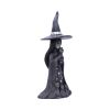 Little Souls - Aura 13.7cm Witches Top 200 None Licensed