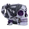 Drop Dead Gorgeous - Creepy and Kooky 16cm Skulls Mother's Day