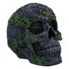 Aged Pentagram Skull 18.8cm Skulls Gifts Under £100