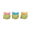 Three Wise Sprouts Indéterminé Out Of Stock