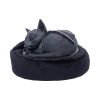 Malpuss Dreams Cats New Arrivals