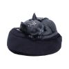 Malpuss Dreams Cats New Arrivals