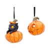 Pumpkin and Patch Hanging Ornaments (Set of 2) Cats Spooky Season