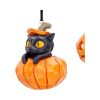 Pumpkin and Patch Hanging Ornaments (Set of 2) Cats Spooky Season