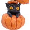 Pumpkin and Patch Hanging Ornaments (Set of 2) Cats Halloween Tree