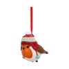 Robin Winter Bobble Hanging Ornament Animals New Arrivals