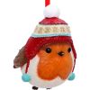 Robin Winter Bobble Hanging Ornament Animals New Arrivals