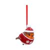 Robin Winter Warmth Hanging Ornament Animals New Arrivals