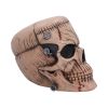 Hall of Horrors: The Monster of Madness Skulls Spooky Season