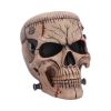 Hall of Horrors: The Monster of Madness Skulls Spooky Season
