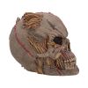 Hall of Horrors: The Keeper of the Harvest Skulls Spooky Season