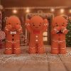 Three Wise Gingerbread Indéterminé Out Of Stock