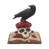 Heartaches Reflection 17cm Ravens Every Day Is Halloween