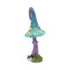 Foolish Fizzy Whizz 24cm Indéterminé Gifts Under £100