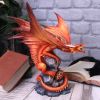 Adult Fire Dragon (AS) 24.5cm Dragons Figurines de dragons