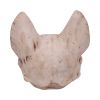 Bastet's Secret 15cm Animal Skulls Halloween RRP Above 20