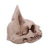 Bastet's Secret 15cm Animal Skulls Halloween RRP Above 20