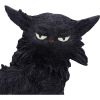 Salem (Small) 19.6cm Cats Halloween RRP Above 20