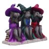 Three Wise Witchy Kittys 15.3cm Cats Articles en Vente