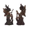 Woodland Beauty (set of 2) 15.5cm Fairies Esprits des arbres